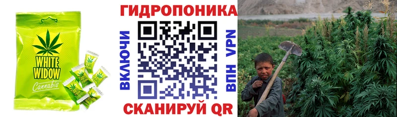 omg   Электрогорск  Еда ТГК марихуана 